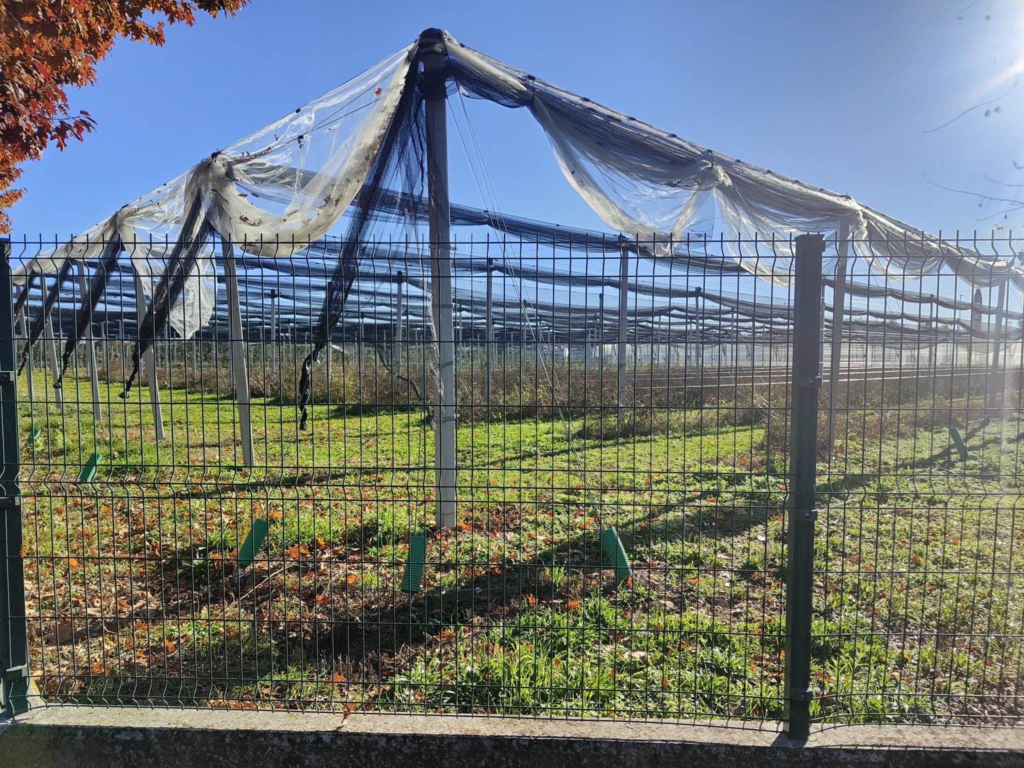 Azienda San Grato